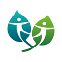 八酒杯藏宝阁搜索器